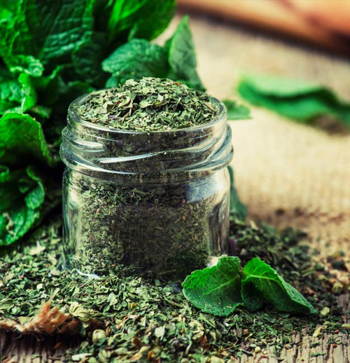 Mint Leaves