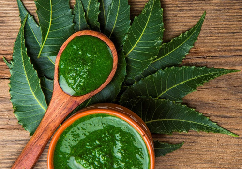 Neem Leaf