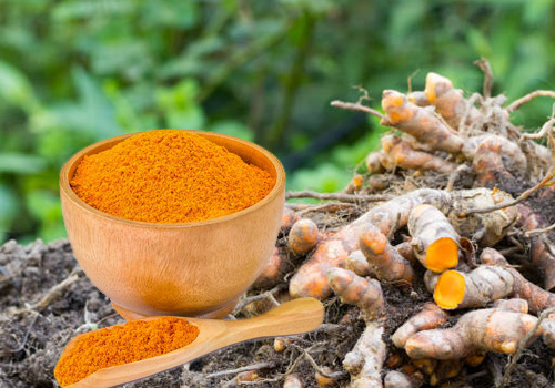 Turmeric Powder