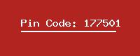 Pin Code: 177501