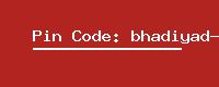 Pin Code: bhadiyad-b-o