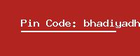 Pin Code: bhadiyadhar-b-o