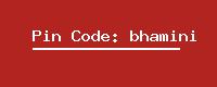 Pin Code: bhamini