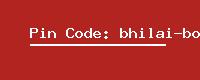 Pin Code: bhilai-boria