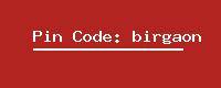 Pin Code: birgaon