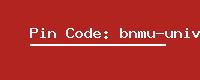 Pin Code: bnmu-university-madhepura