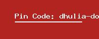 Pin Code: dhulia-domda