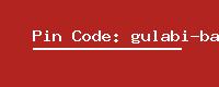 Pin Code: gulabi-bagh