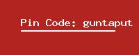 Pin Code: guntaput