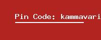 Pin Code: kammavaripalle