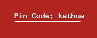 Pin Code: kathua