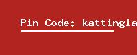 Pin Code: kattingia