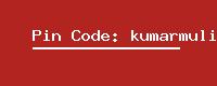 Pin Code: kumarmuli-b-o