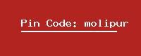 Pin Code: molipur