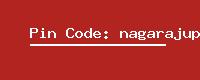 Pin Code: nagarajupet