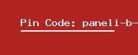 Pin Code: paneli-b-o
