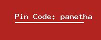 Pin Code: panetha