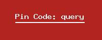 Pin Code: query