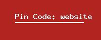 Pin Code: website